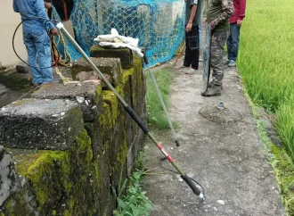 चमोली: पागल कुत्तों का आतंक, 3 दिन स्कूल बंद; ऑनलाइन पढ़ाई रहेगी जारी