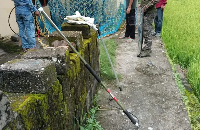 चमोली: पागल कुत्तों का आतंक, 3 दिन स्कूल बंद; ऑनलाइन पढ़ाई रहेगी जारी