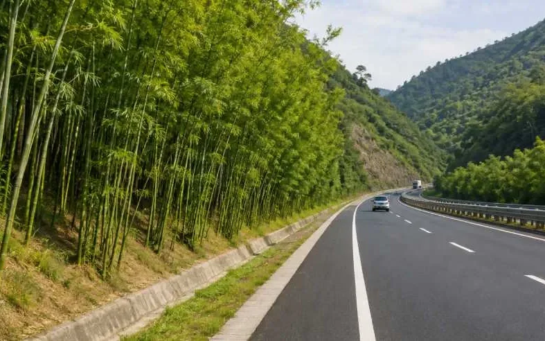 उत्तराखंड के एक्सप्रेसवे पर ‘ग्रीन गोल्ड’ का प्लान, बांस रोकेगा मिट्टी कटाव और बढ़ाएगा हरियाली